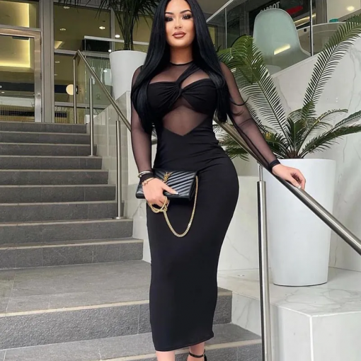 Round Neck Mesh Patchwork Long-Sleeved Mid-Length Sheath Dress